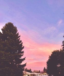 Low angle view of silhouette trees against sky during sunset