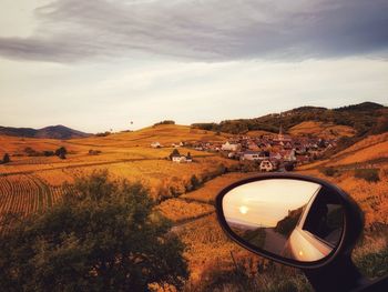 Scenic view of  vineyard in autumn