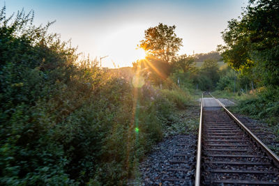 Railroad track amidst trees against sky during sunset