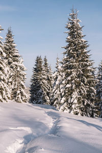 Winter mountain landscape at sunset time.