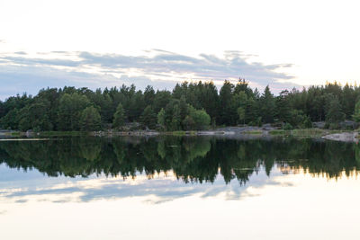 Reflection of trees in lake against sky