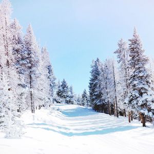 Scenic view of snow covered landscape