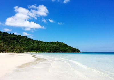 Scenic view of beach against blue sky