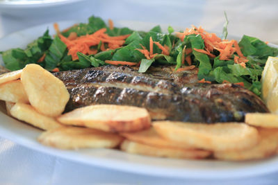 Close-up of meal served in plate