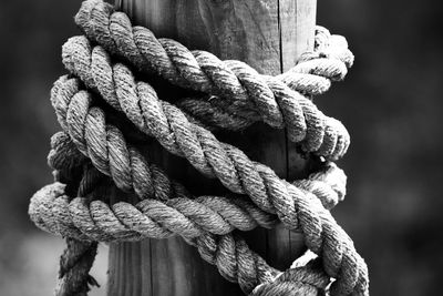 Close-up of rope tied on wooden post