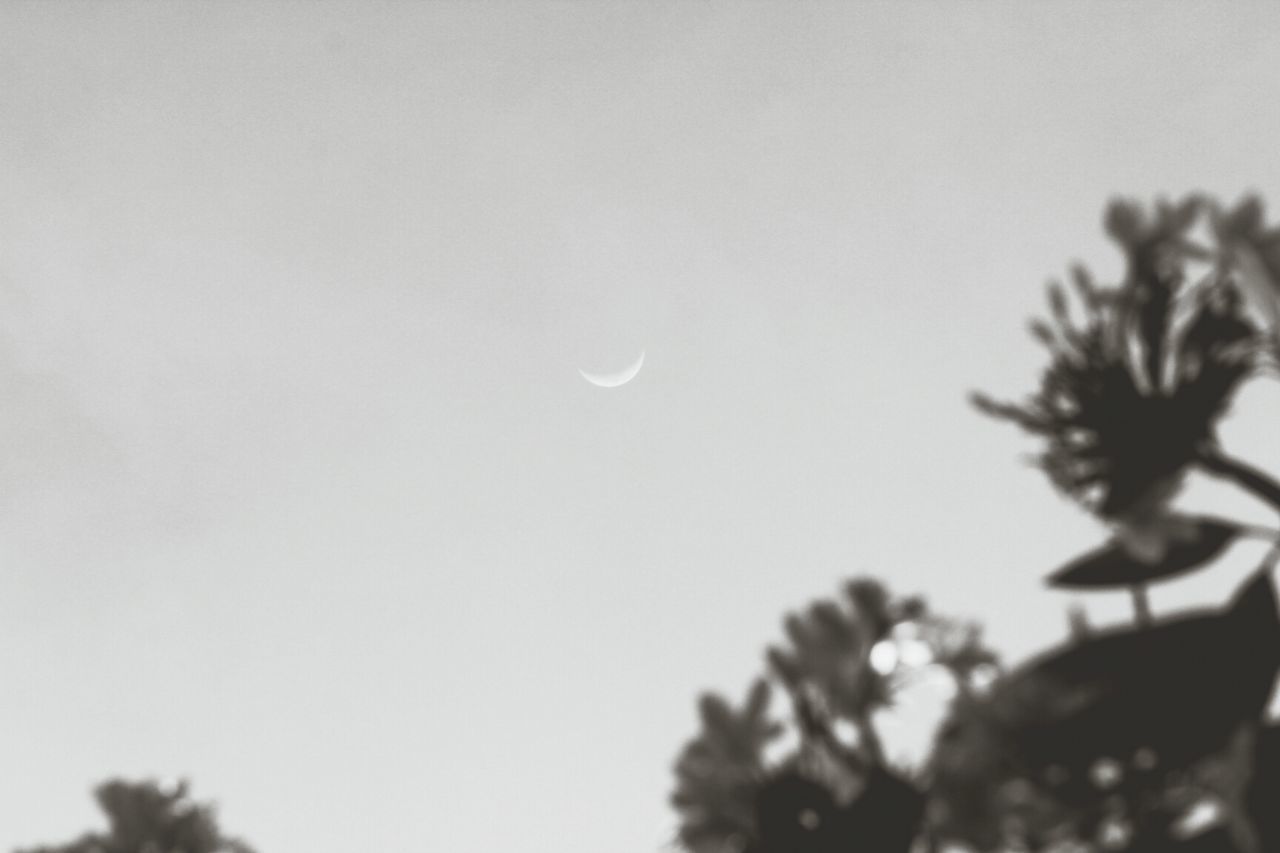 Crescent moon