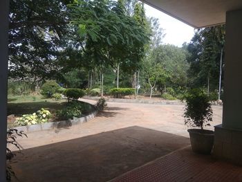 Potted plants on table by swimming pool in yard