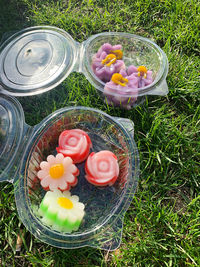 High angle view of multi colored candies on field