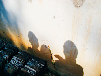 Close-up of woman in bikini
