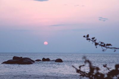 Scenic view of sea at sunset