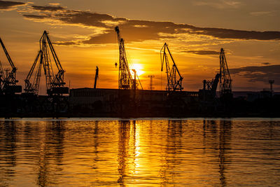 Cranes at sunset