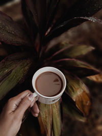 Cropped hand holding coffee