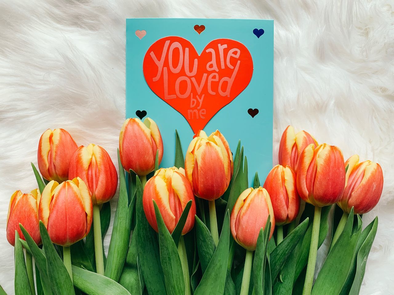 freshness, text, heart shape, communication, flower, red, no people, flowering plant, western script, close-up, orange color, love, plant, nature, positive emotion, food, tulip, outdoors, day, beauty in nature