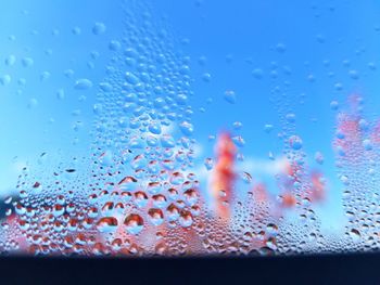 Close-up of water drops on glass window