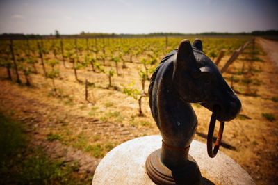 Horse on field against sky