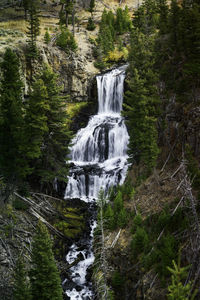 Waterfall in forest