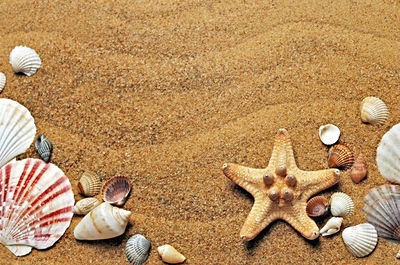 Full frame shot of sand at beach