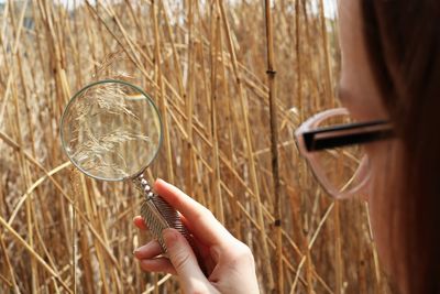 Close-up of person holding glass