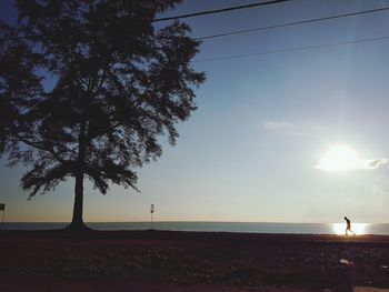 Silhouette tree on beach against sky at sunset