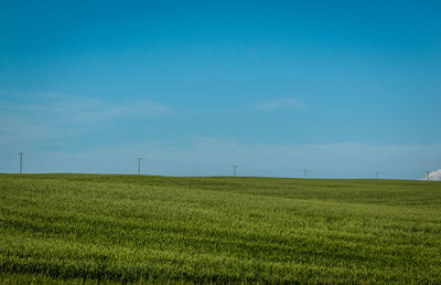 Scenic view of field against blue sky