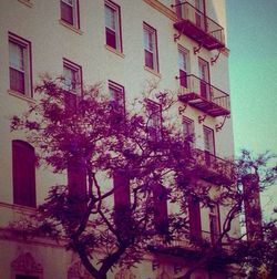 Low angle view of building