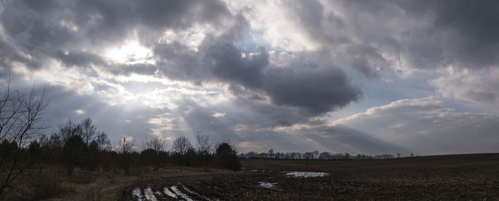 Panoramic view of agricultural field against sky