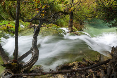 Scenic view of waterfall in forest