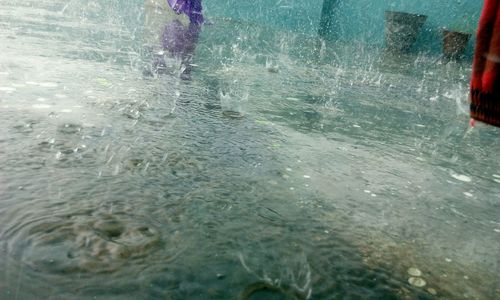 Low section of people in swimming pool