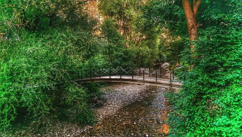 Bridge over river in park