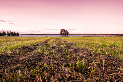 Scenic view of field against clear sky