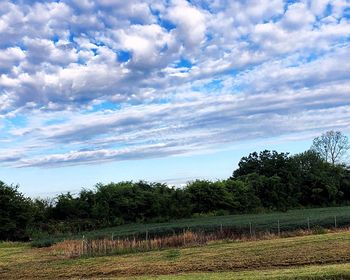 Scenic view of field against sky