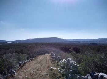 Scenic view of farm against sky