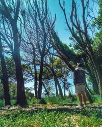 Rear view of man standing by tree