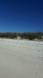 Surface level of sandy beach against clear blue sky