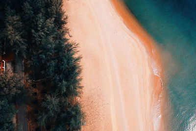 Scenic view of beach