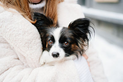 Portrait of dog lying down