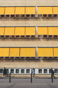 Yellow windows