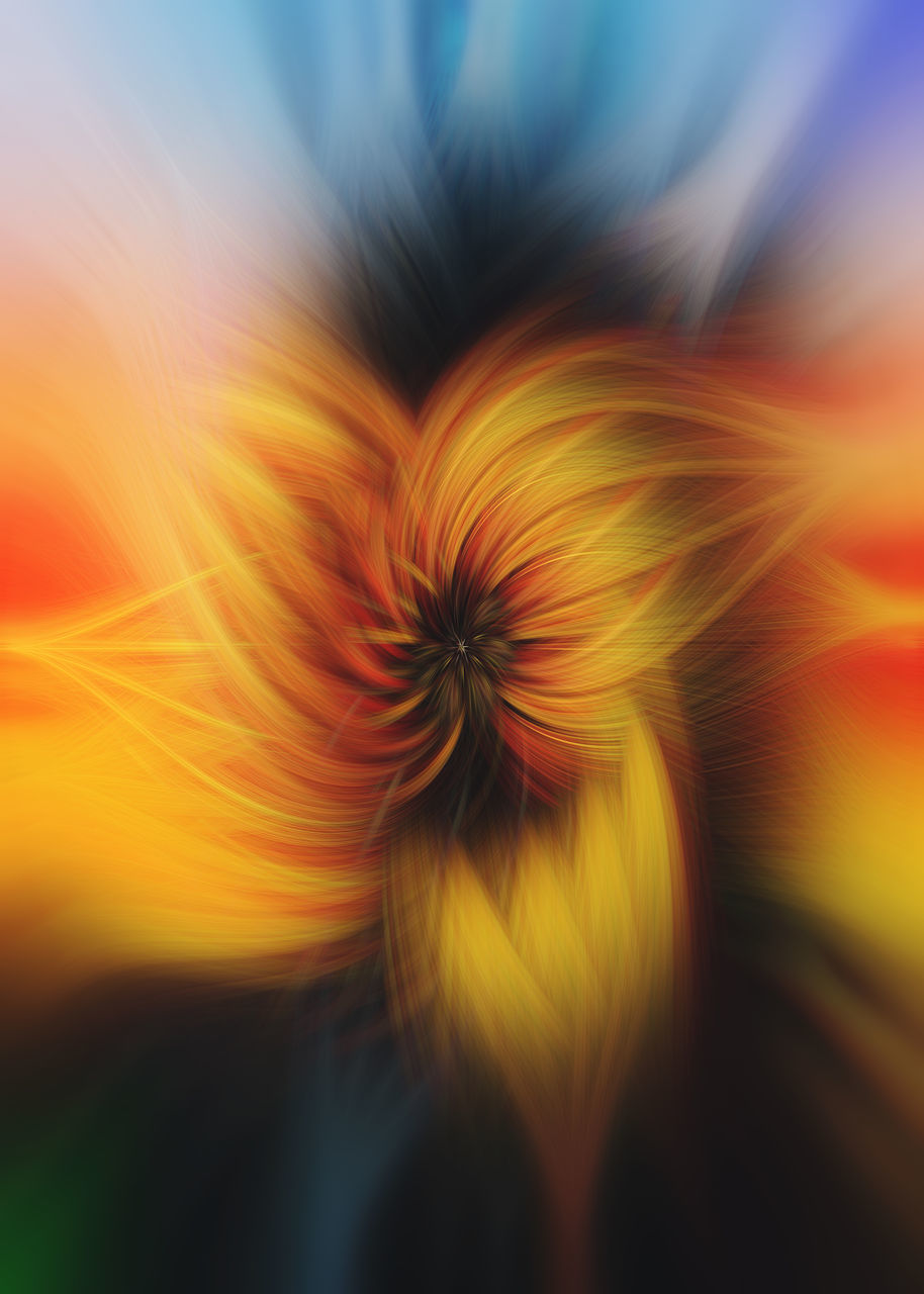 EXTREME CLOSE-UP OF ORANGE FLOWER HEAD