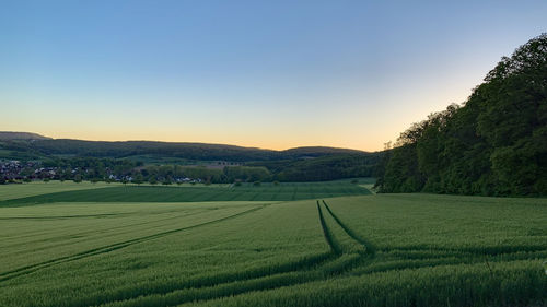 Scenic view of agricultural field against sky