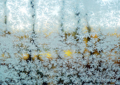 Full frame shot of frost on window 