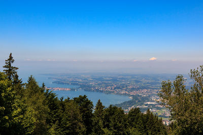 High angle view of trees and cityscape against blue sky