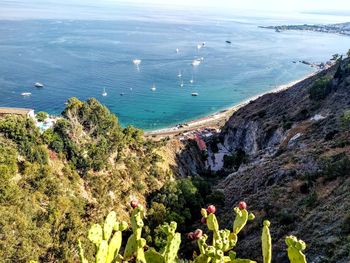 High angle view of trees by sea against sky