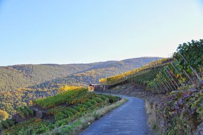 Road leading towards mountains against clear sky