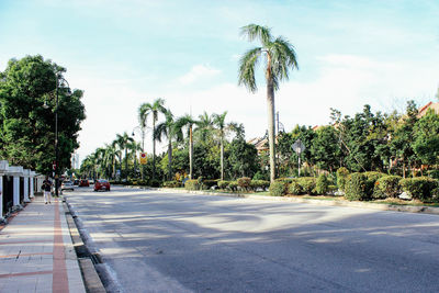 Road by palm trees against sky