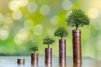 Close-up of coins on table against plants