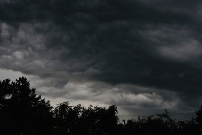 Low angle view of trees against cloudy sky