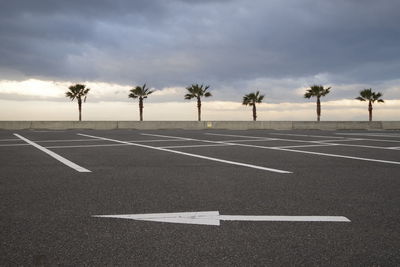 Empty road by palm trees against sky