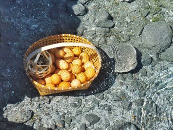 High angle view of various fruits on rock