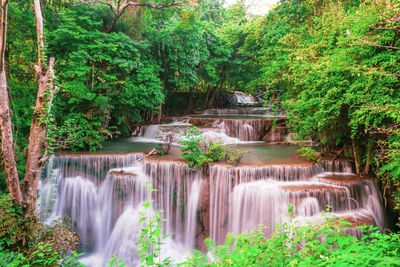 Scenic view of waterfall in forest