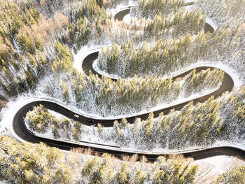 High angle view of road amidst trees